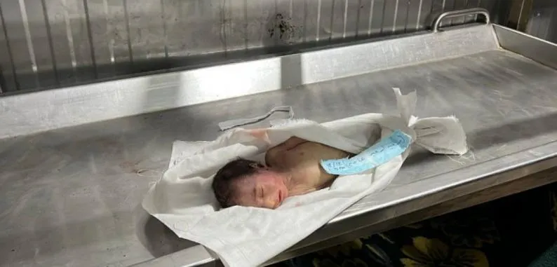 استشهاد رضيع في غزة يرفع ضحايا موجة الصقيع إلى 13 وسط أوضاع إنسانية كارثية